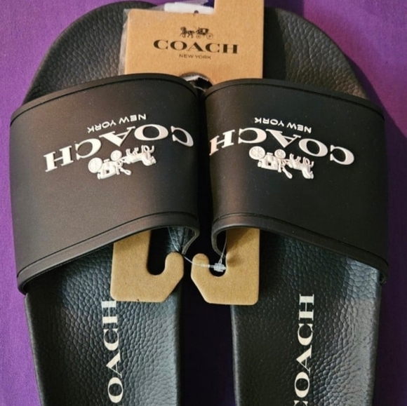 Coach slides - Picture 4 of 4